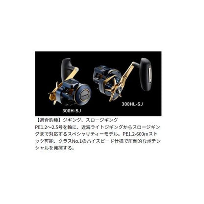 21ソルティガIC 300HLSJ ダイワ