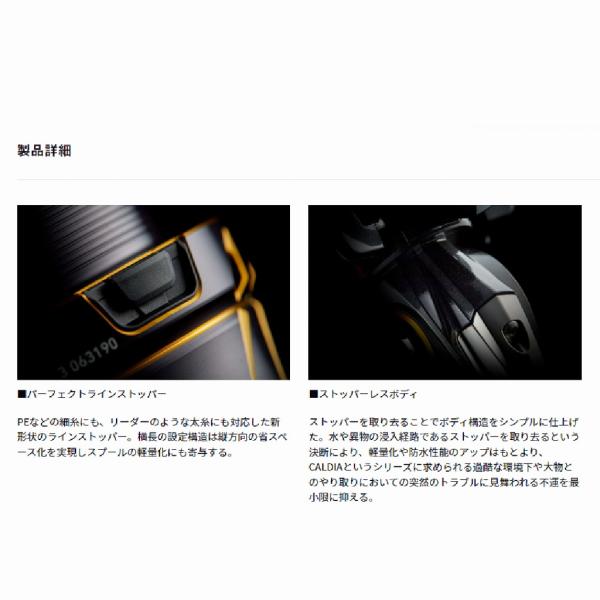 21カルディア FC LT2500S ダイワ