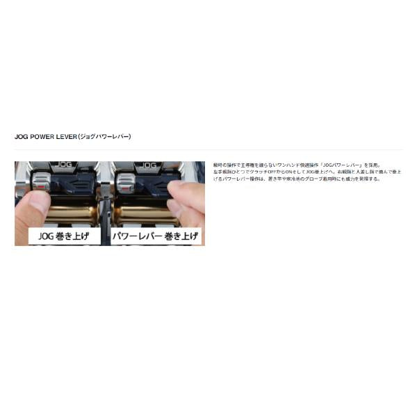 レオブリッツ 500JP ダイワ