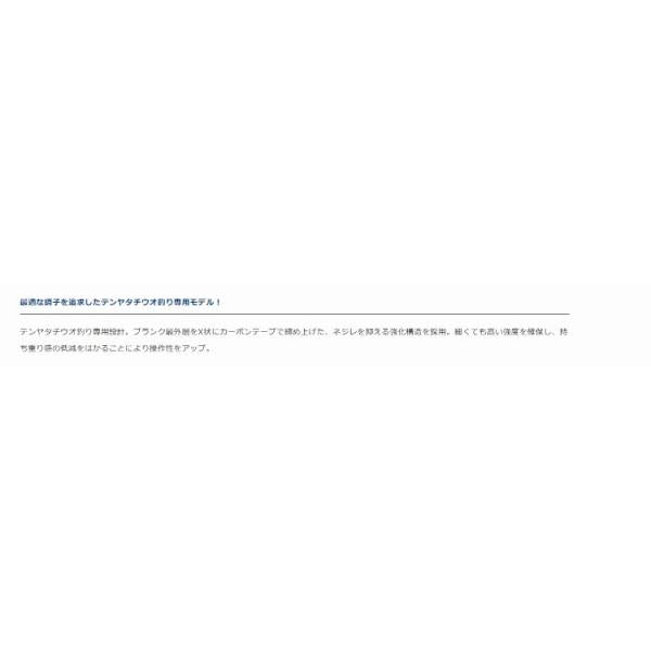 テンヤタチウオ X 180・R ダイワ