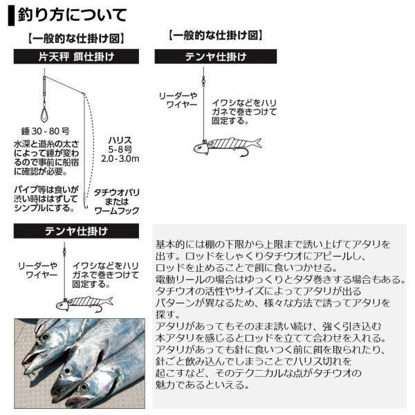 タチウオ X ML-190 R ダイワ