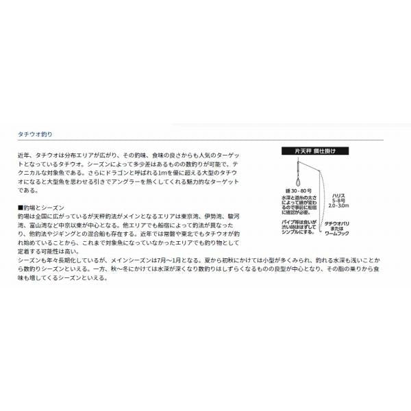タチウオ X ML-190 R ダイワ