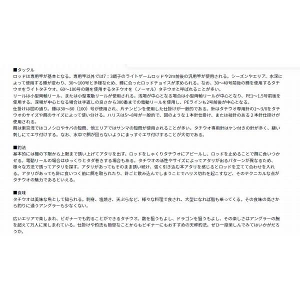タチウオ X ML-190 R ダイワ