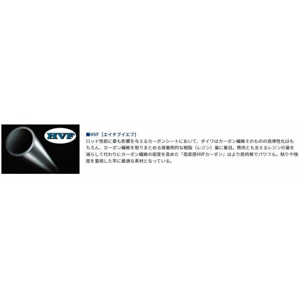 小継飛竜233MP N ダイワ