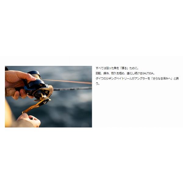 22ソルティガ 15H-SJ ダイワ