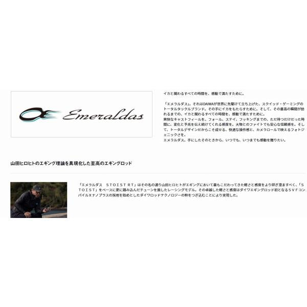 エメラルダスSTOIST RT 88ＭL ダイワ