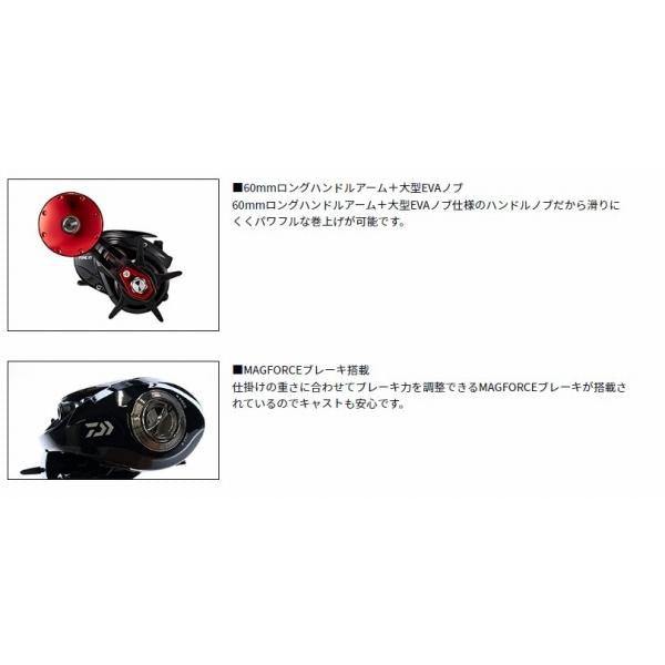 FUNE XT150POP ダイワ