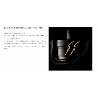 22カルディア SW 5000D-CXH ダイワ