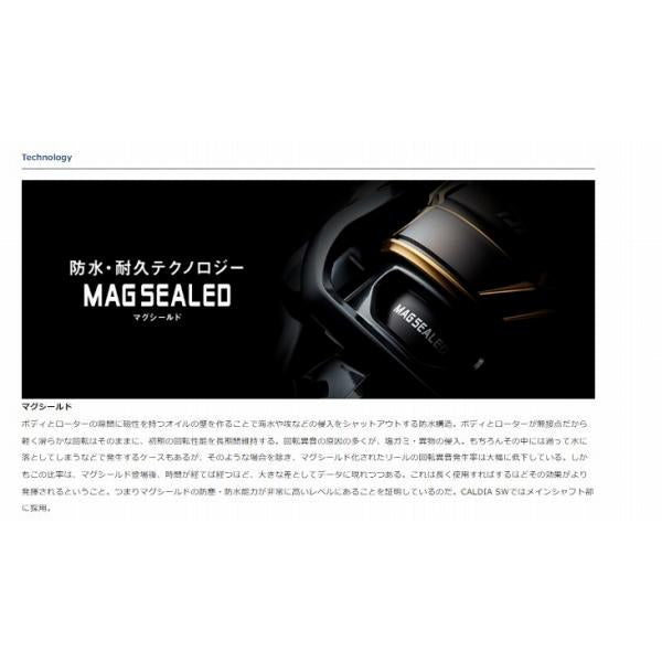 22カルディア SW 5000D-CXH ダイワ