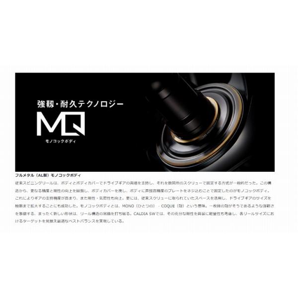 22カルディア SW 5000D-CXH ダイワ