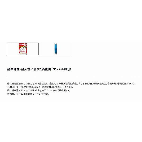 UVFサーフデュラセンサー×8+Si2 0.5 250 ダイワ 継続SALE 秋の大感謝祭