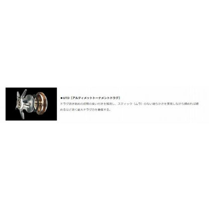 TATULA TW 400XHL ダイワ 秋の大感謝祭