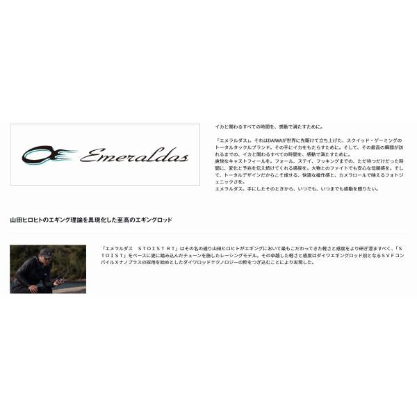エメラルダス ストイスト RT IL 89LML ダイワ