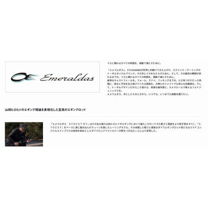 エメラルダス ストイスト RT IL 89LML ダイワ