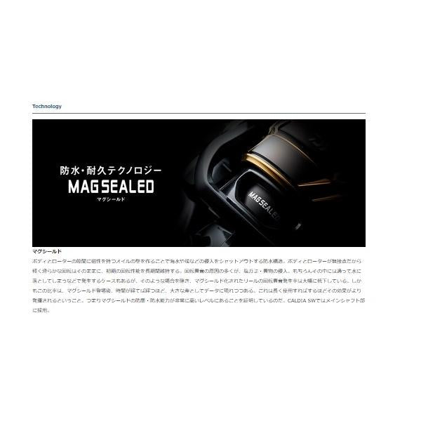 22カルディアSW 4000-CXH ダイワ