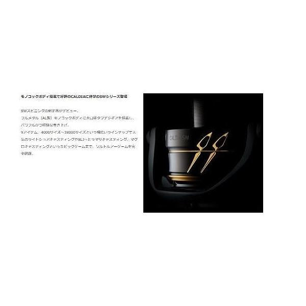 22カルディア SW 4000D-CXH ダイワ