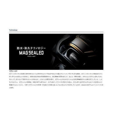 22カルディア SW 4000D-CXH ダイワ
