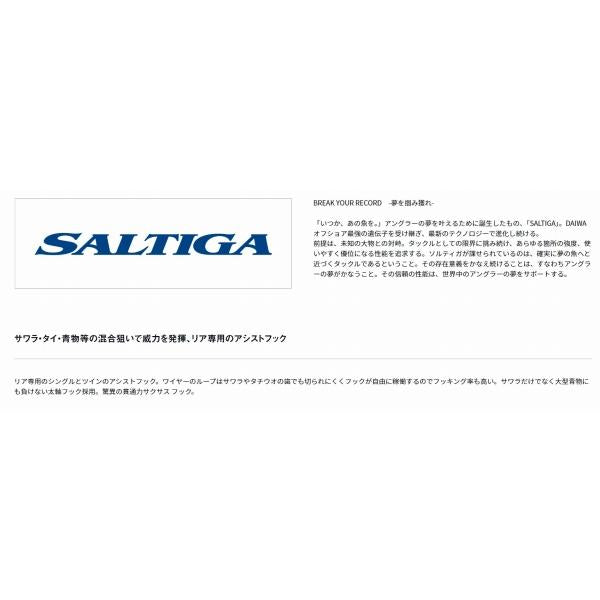 ソルティガアシストSS ライトジギング タイプW リアツイン2/0X ダイワ 釣り人応援セール