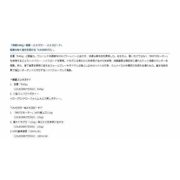 23レオブリッツ 300JL ダイワ