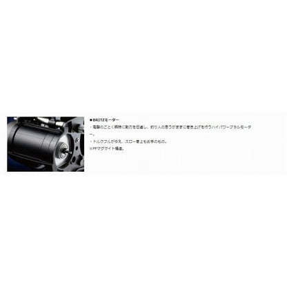 23レオブリッツ 300JL ダイワ