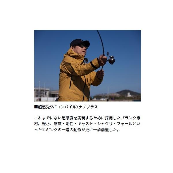 EMERALDAS STOIST RT 79MLM ダイワ