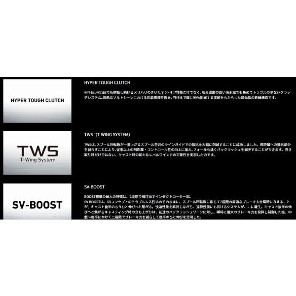 25TATULA SV TW 100H ダイワ