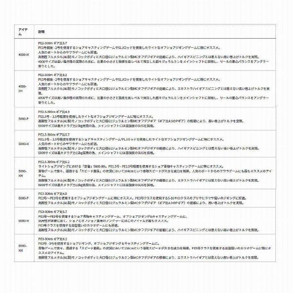 シーボーグ 100J ダイワ