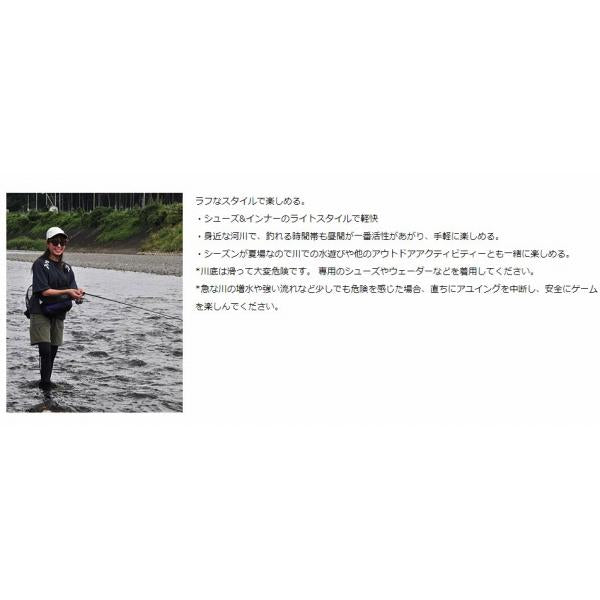 Neostage AY ネオステージ鮎 93MHS-S ダイワ 秋の大感謝祭