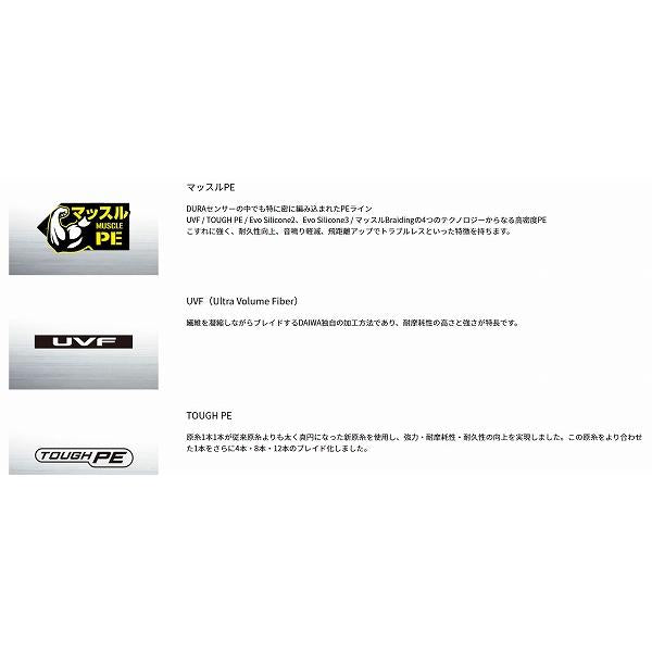 UVFサーフデュラセンサー×4+Si2 0.3 300 ダイワ 継続SALE 秋の大感謝祭