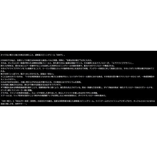 23AIRITY LT3000-H ダイワ 秋の大感謝祭