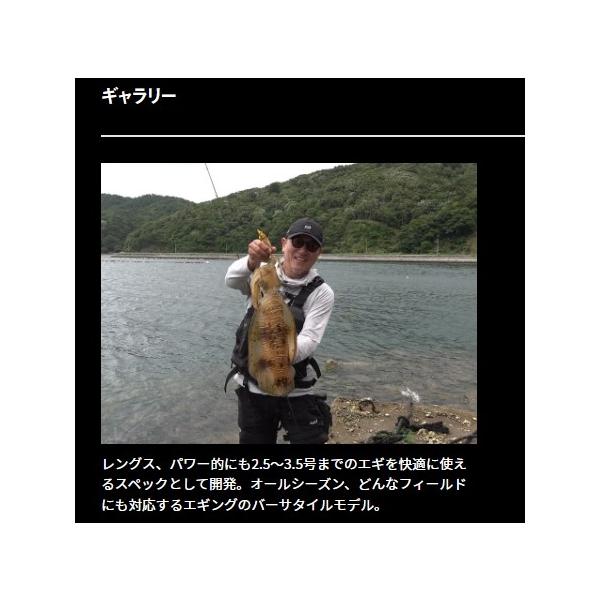 EME STO RT CGS 80ML ダイワ