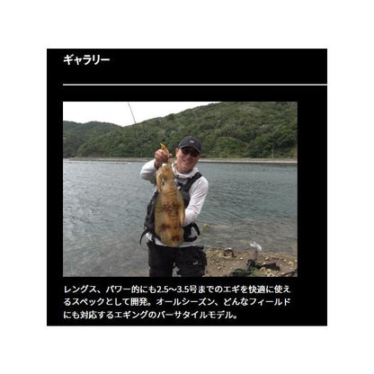 EME STO RT CGS 80ML ダイワ