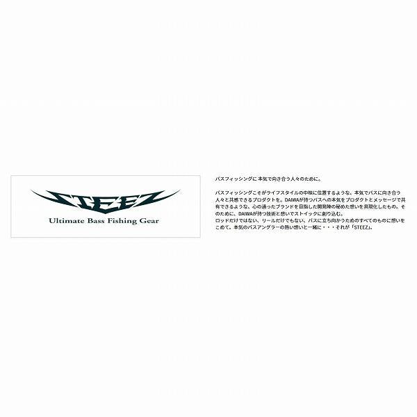 24スティーズ STEEＺ SV TW 100XHL ダイワ