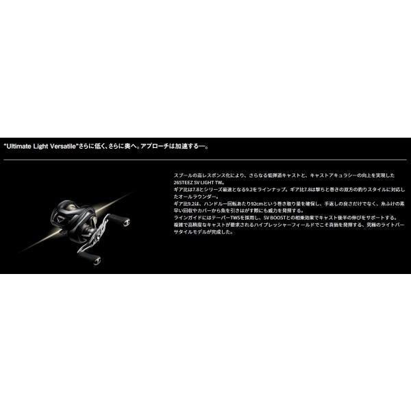 26STZSVLIT TW100H ダイワ