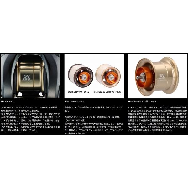 26STZSVLIT TW100HL ダイワ