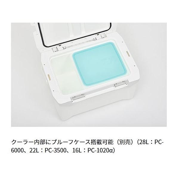 プロバイザーREX ZSS2800 ゴールド ダイワ
