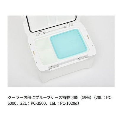 プロバイザーREX ZSS2800 ゴールド ダイワ