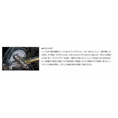 23BG SW 6000D-H ダイワ