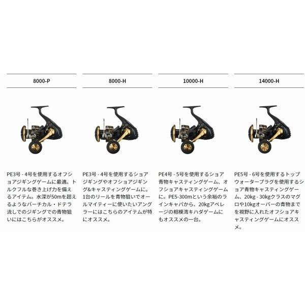 23BG SW 8000-P ダイワ