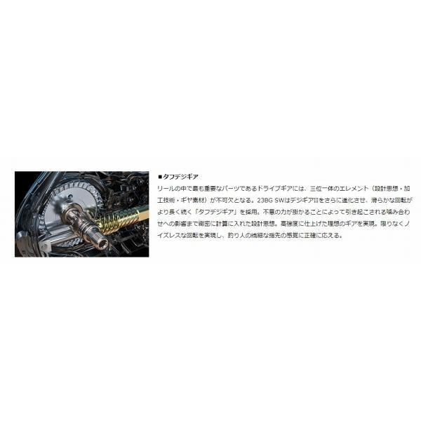 23BG SW 8000-H ダイワ