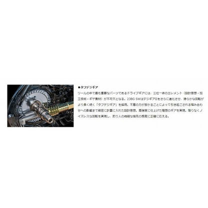23BG SW 8000-H ダイワ