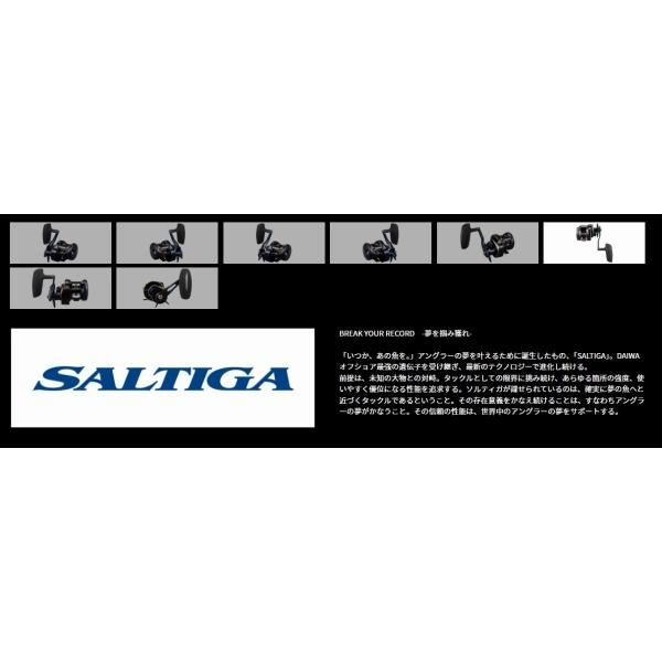 25SALTIGA 300 ダイワ