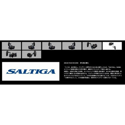 25SALTIGA 300H ダイワ