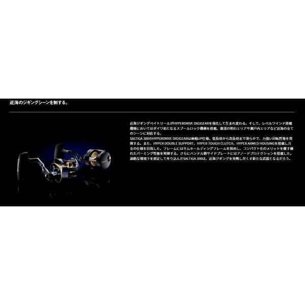 25SALTIGA 300H ダイワ