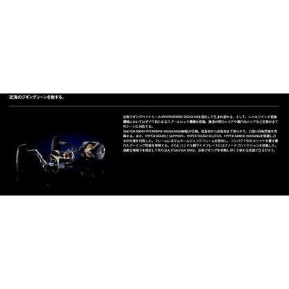 25SALTIGA 300H ダイワ