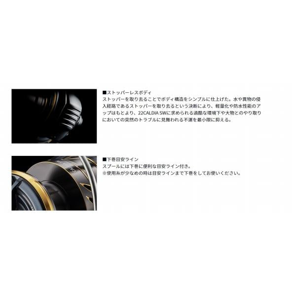 22カルディア SW 10000-P ダイワ 秋の大感謝祭