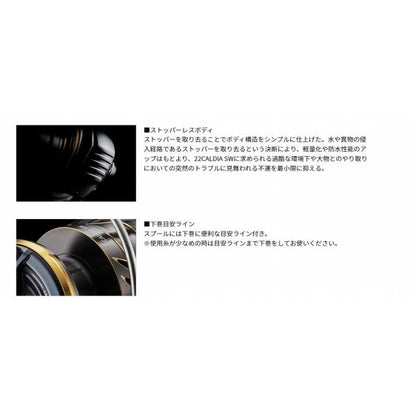 22カルディア SW 10000-P ダイワ 秋の大感謝祭