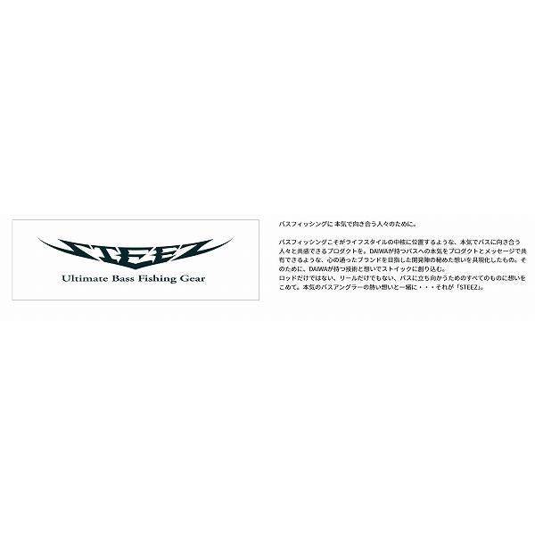 スティーズ リアルコントロール C67M-SV・ST ダイワ