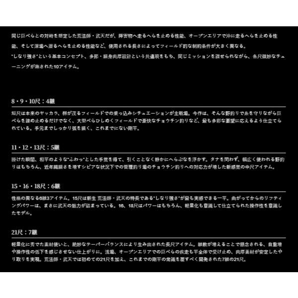 荒法師 武天 18 J ダイワ 秋の大感謝祭