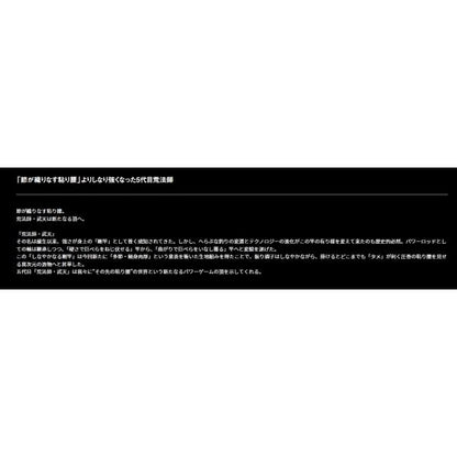 荒法師 武天 21 J ダイワ 秋の大感謝祭